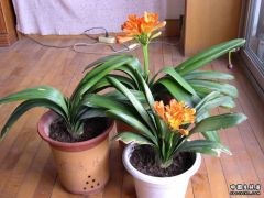 DSCN2673.JPG