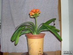 DSCN2668.JPG