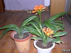 DSCN2674.JPG