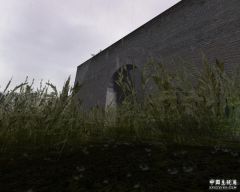 斜阳、细雨、野草、水花