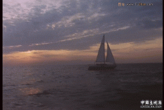 001.gif