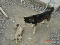 DSC00676.JPG