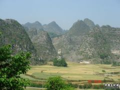 DSC00687.JPG