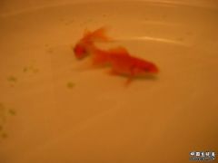 DSCN2698.JPG