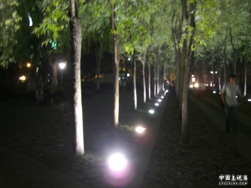 gallery_215_6_12876.jpg
