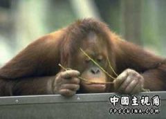 郁闷