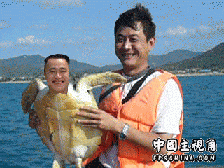gallery_112_6_35726.gif