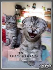 她真生气了