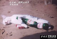 生活就那么回事
