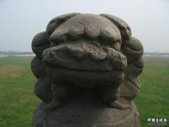 0706f.jpg