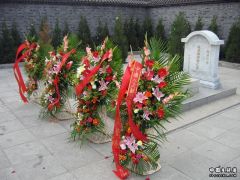 ZDY01.jpg