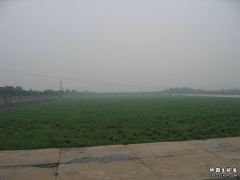 773.jpg
