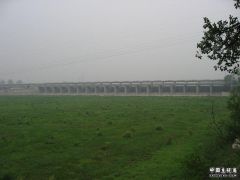 775.jpg
