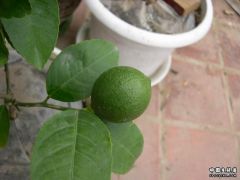 DSCN3052.JPG