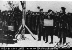 最后的生机.jpg