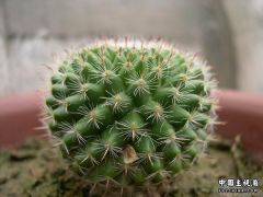 DSCN3218.JPG