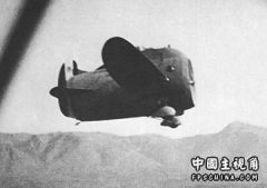 stipa_flight.jpg