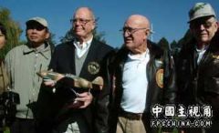 Img225471773.jpg