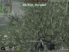 cod4mp-20080110-235918.jpg