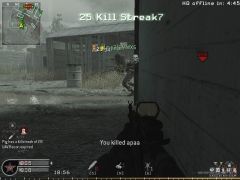 cod4mp-20080110-100806.jpg