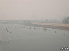 DSCN3529.JPG
