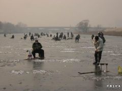 DSCN3531.JPG