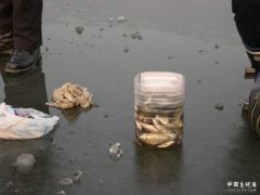 DSCN3544.JPG