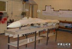 2008_1_19_87793_6787793.jpg