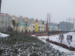 DSCF1381.JPG