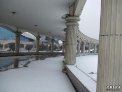 DSCF1389.JPG