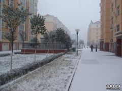 DSCF1351.JPG
