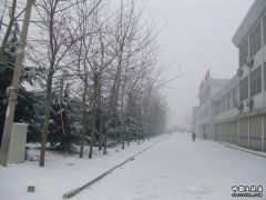 DSCF1367.JPG