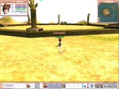 flyff-20080303-192905.jpg