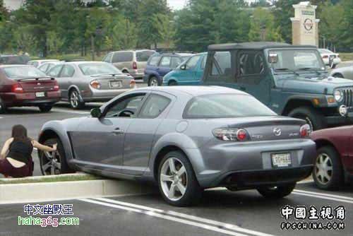 gallery_2085_4_11294.jpg