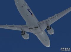 737-800腹部.jpg