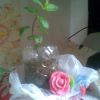 tn_gallery_41600_4_245341.jpg