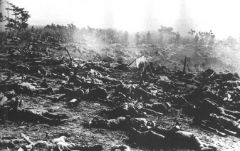 血岭激战后日军尸横遍野.jpg