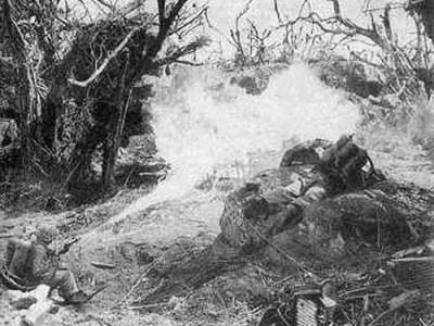 gallery_977_5_25012.jpg
