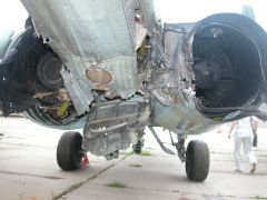 47471c530105zghg.jpg