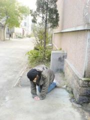 xin_21211052710585152996878.jpg