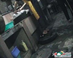 08122200109a13f501be79efe9.jpg